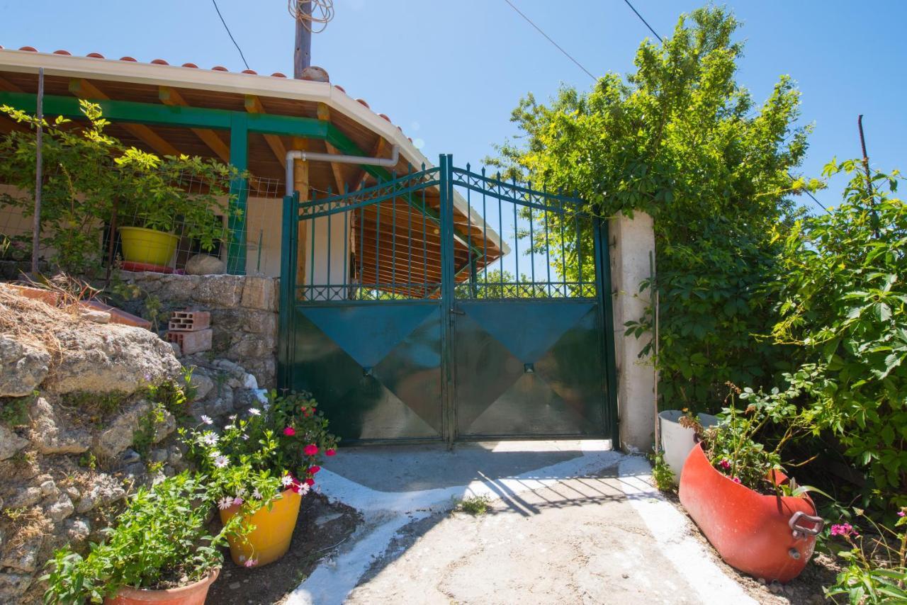 Basil & Guest House Lazarata Exterior photo